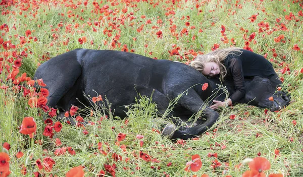 Equitazione Ragazza Sono Formazione Suo Nero Cavallo — Foto Stock