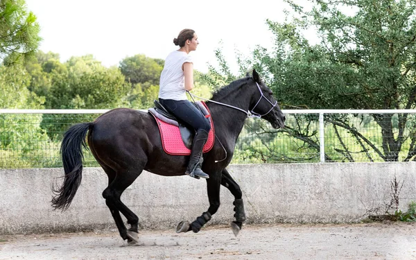 乗馬の女の子は黒い馬を訓練しています — ストック写真