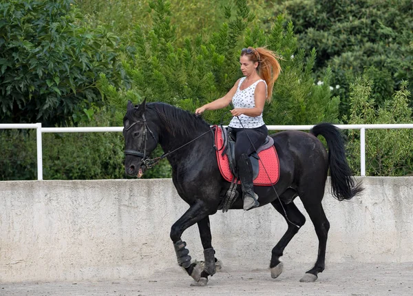 Κορίτσι Ιππασίας Εκπαιδεύει Μαύρο Άλογό Της — Φωτογραφία Αρχείου