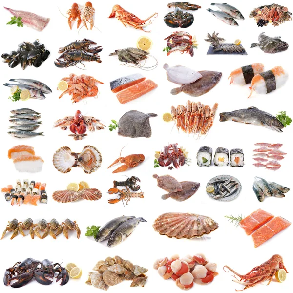 Frutos do mar, peixes e mariscos — Fotografia de Stock