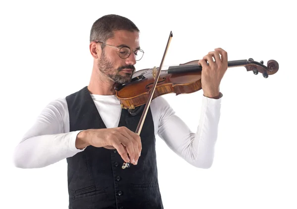 바이올린 연주자 — 스톡 사진