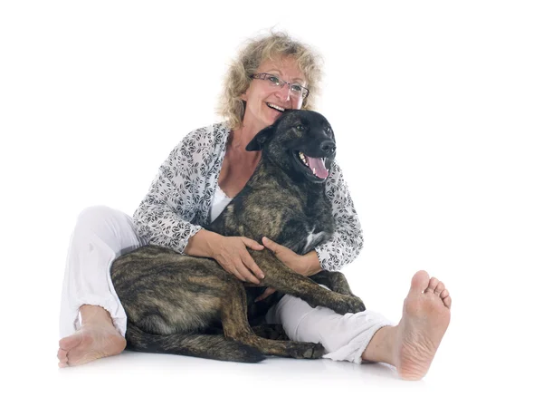 Vrouw en holland herder — Stockfoto