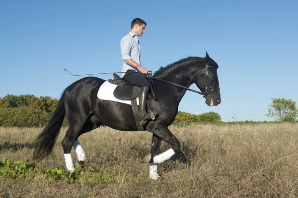 Paseos a caballo — Foto de Stock