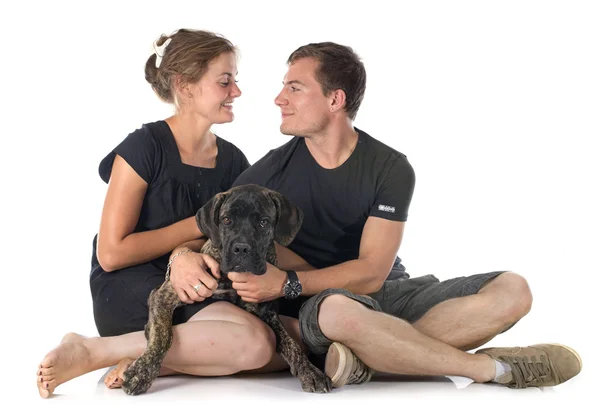 Štěně cane corso a pár — Stock fotografie