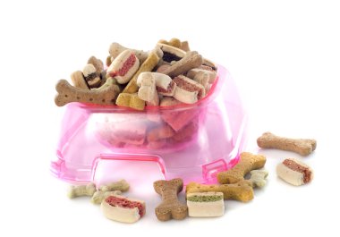 kuru evde beslenen hayvan yiyecek