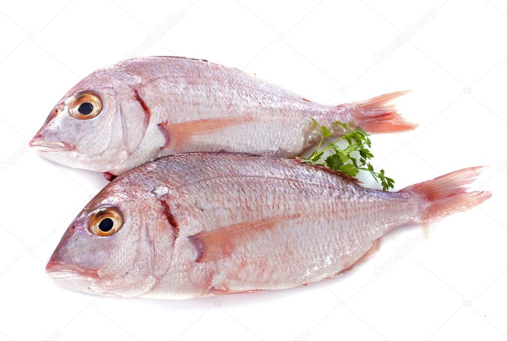 Foto Stock Red Snapper Immagini Red Snapper Royalty Free Depositphotos