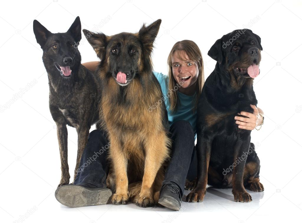 woman and dogs