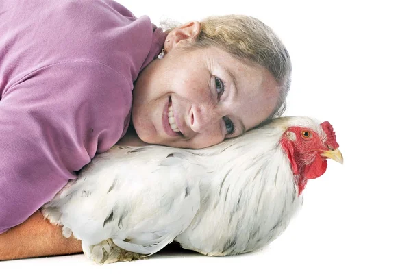 브라흐마 닭과 소녀 — 스톡 사진