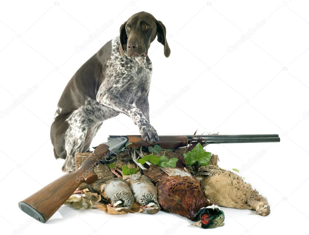 hunting games and dog
