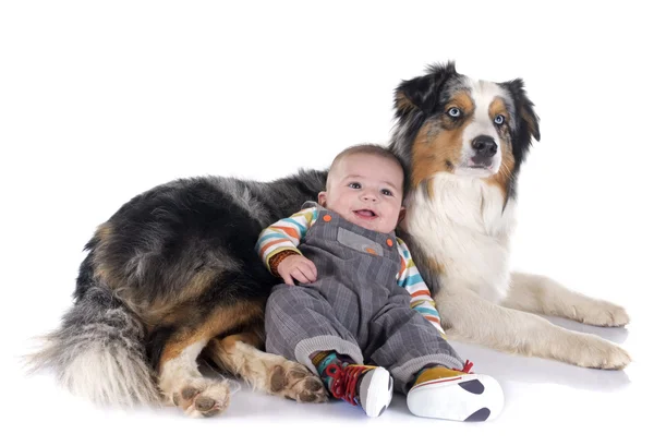 Baby und australischer Schäferhund — Stockfoto