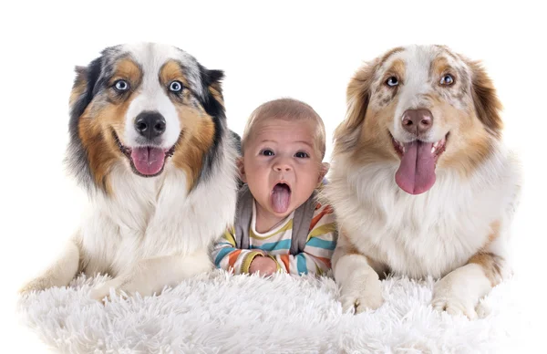 Baby und Hunde — Stockfoto