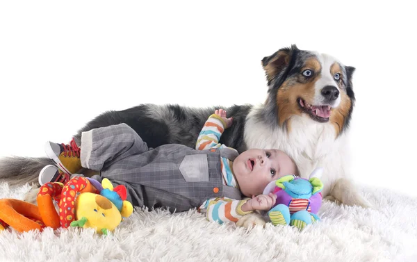 Baby und australischer Schäferhund — Stockfoto