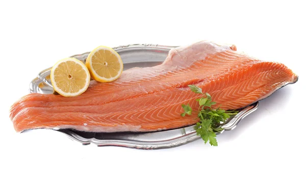 Zalmfilet — Stockfoto