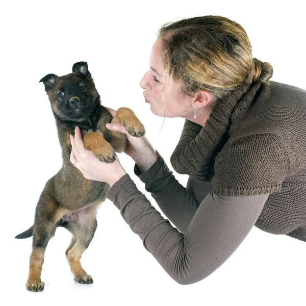 Köpek yavrusu malinois ve kadın — Stok fotoğraf
