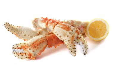 Red king crab clipart