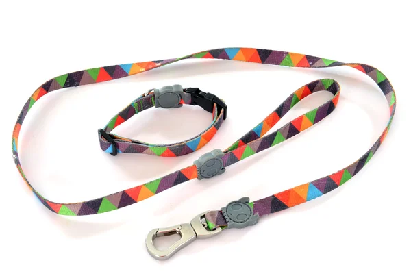 Collar and leash — Stock Photo, Image