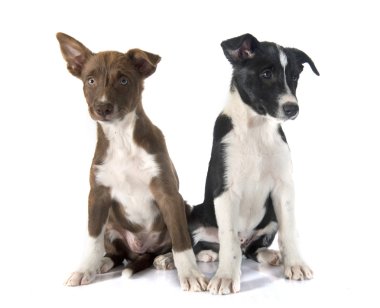 kukla kenar kömür ocağı