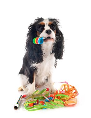 Beyaz arkaplan önünde süvari kral Charles