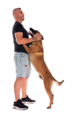 Beyaz arka planda Belçikalı çoban ve adam