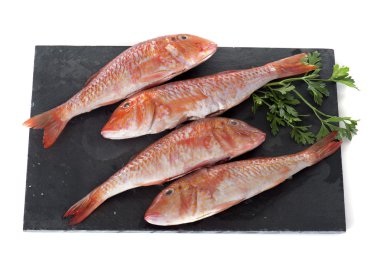 Red mullet clipart