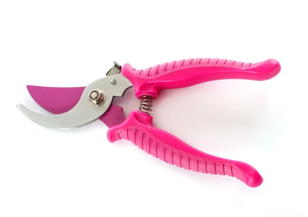 Pink secateurs — Stock Photo, Image