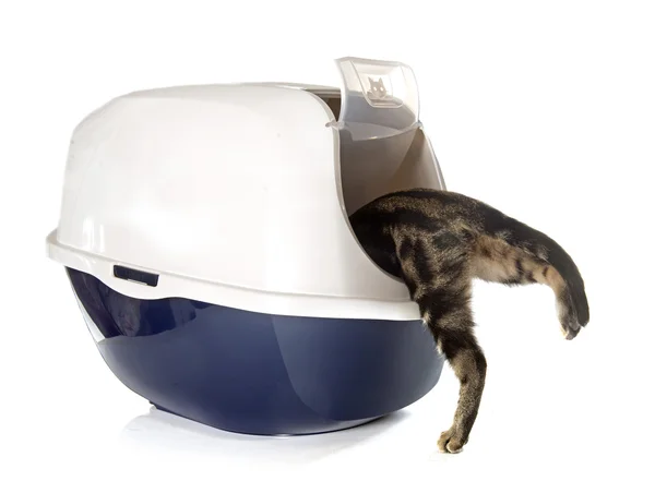 Closed cat litter box — Stock Photo, Image