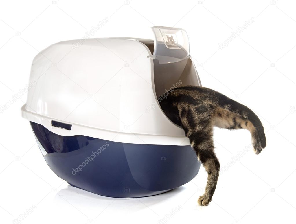 Closed cat litter box