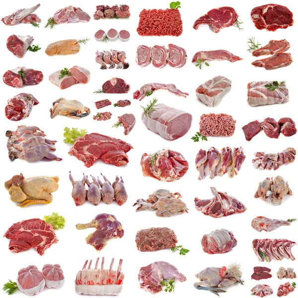 Group of meat — Stock Photo, Image