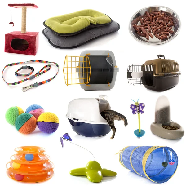 Group of cat accessories — Stock Photo, Image