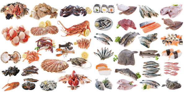 рыбы и моллюски из морепродуктов
