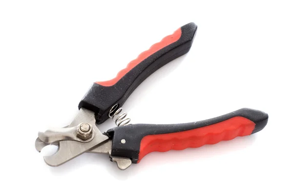 Claws clippers for dog — Stock Photo, Image