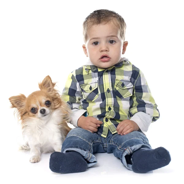 Malý chlapec a čivava — Stock fotografie