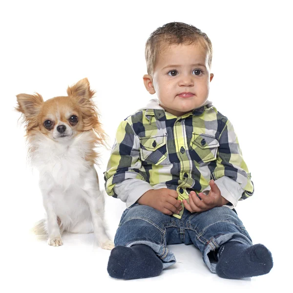 Kleine jongen en chihuahua — Stockfoto