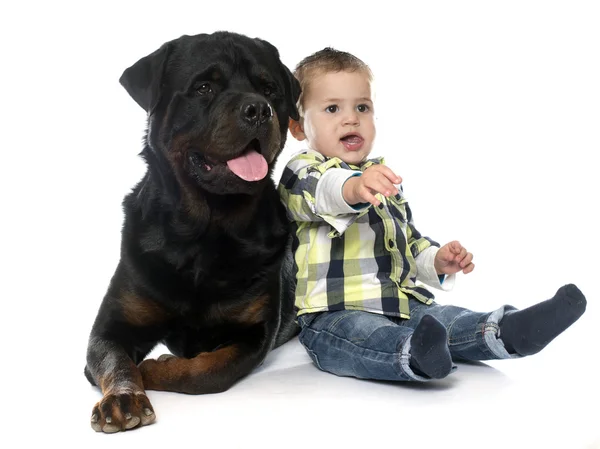 Liten pojke och rottweiler — Stockfoto