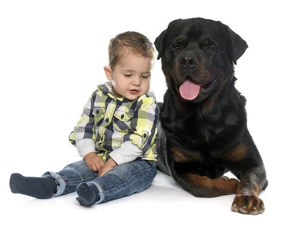 Liten pojke och rottweiler — Stockfoto