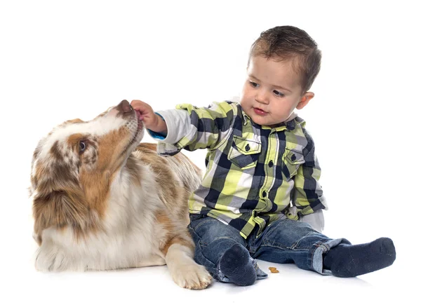 Liten pojke och hund — Stockfoto