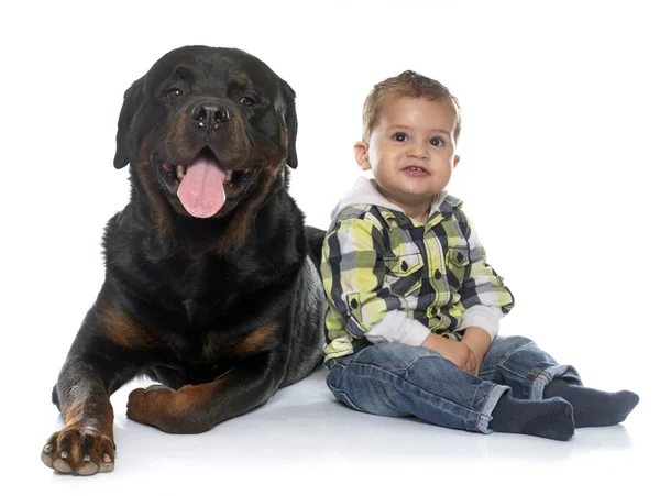 Niño pequeño y rottweiler — Foto de Stock