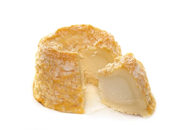 A Langres cheese — Stock Photo, Image