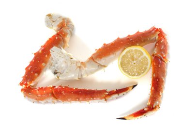 Red king crab leg clipart