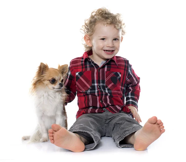 Niño pequeño y chihuahua — Foto de Stock