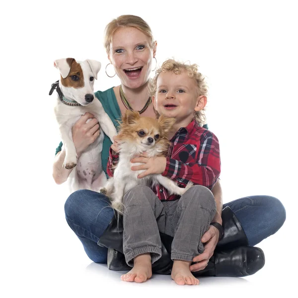 Niño pequeño, perros y madre — Foto de Stock