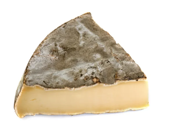 Portion of Saint-Nectaire cheese — Stock Photo, Image