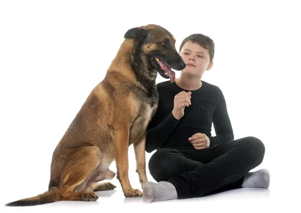 Jovem adolescente e malinois — Fotografia de Stock