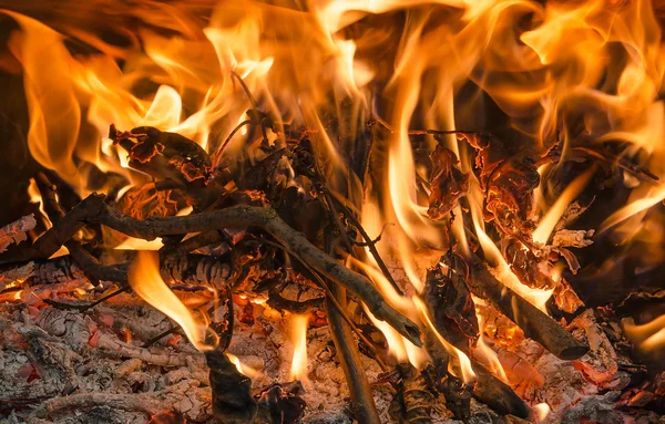 Fireplace Fire — Stock Photo, Image