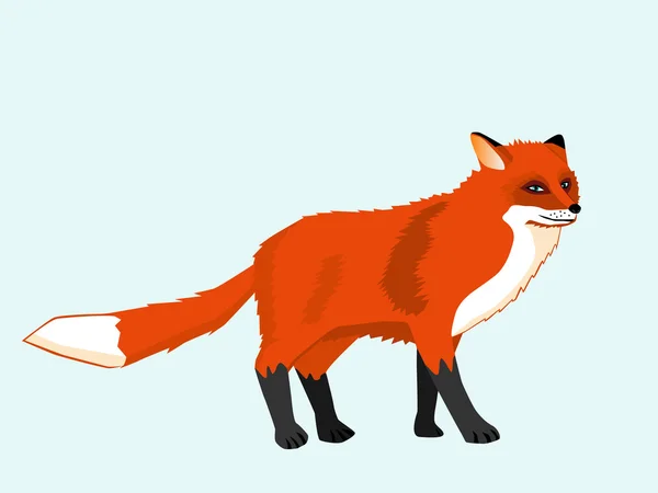 Şirin Kızıl Tilki