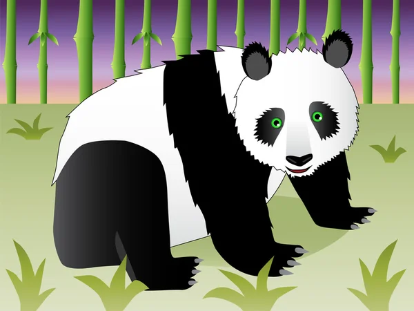 Panda in bamboebos — Stockvector