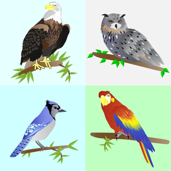 Gyönyörű madarak gyűjteménye Jogdíjmentes Stock Illusztrációk