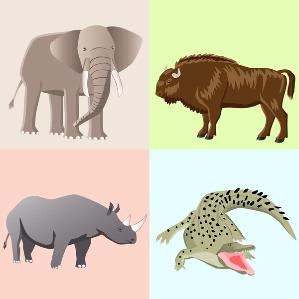 Collection from four animals — Stock Vector