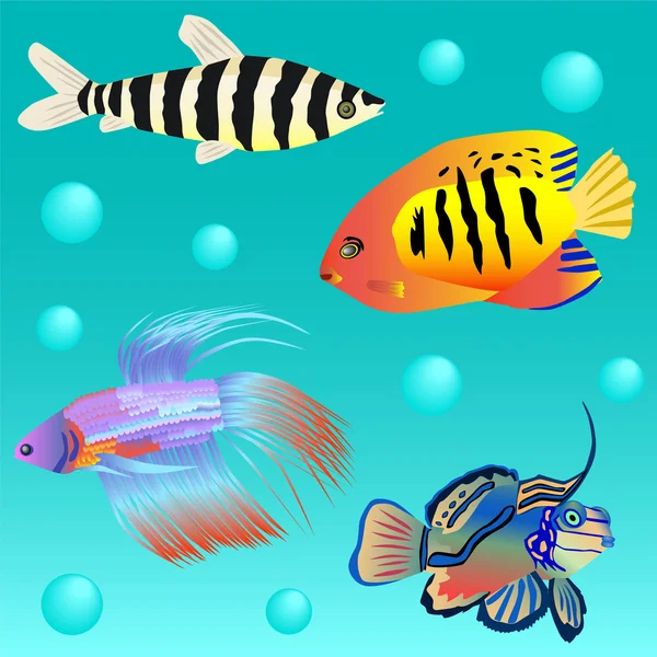 Deniz balığı ile sorunsuz örnek