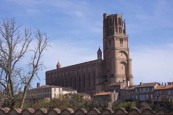 Catedral de Albi —  Fotos de Stock